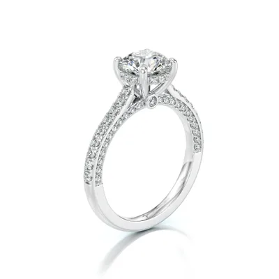 Prsten Pegasus — Fotografie 4